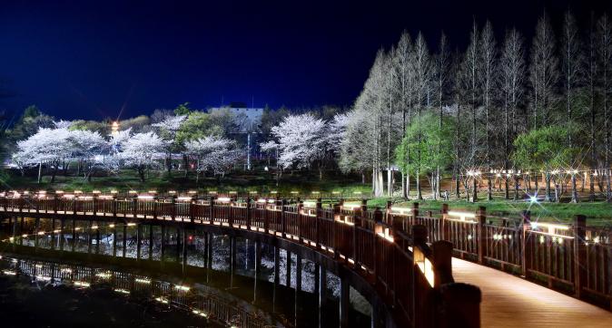 봄수변공원(20).JPG