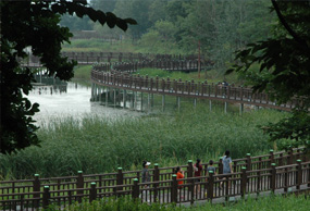 수변공원