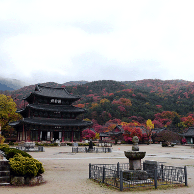 김제 금산사