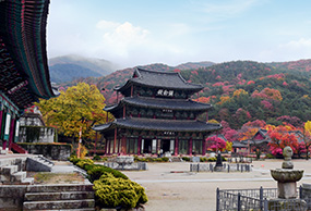 금산사
