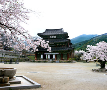 Geumsansa Temple