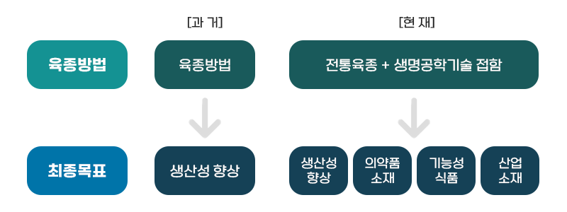 종자산업정책을 나타낸 이미지로 [과거] 육종방법 → 생산성향상 [현재]전통육종 +생명공학기술접합 → 생상선향상, 의약품소재, 기능성 식품, 산업소재를 최종목표로 잡고 있다.