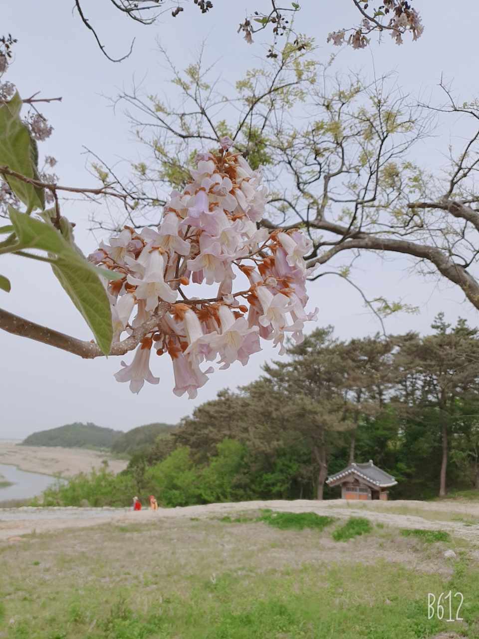 2021 지평선 추억의 보리밭 축제 사진콘테스트 입상작 이미지(6)