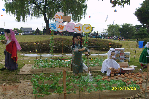 광활 감자홍보