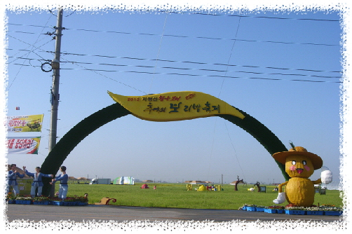 2012 지평선 황금보리 추억의 보리밭축제