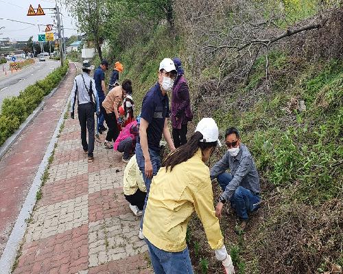 주요 도로변 화단조성
