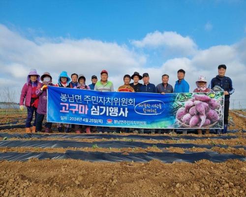 봉남면 주민자치위원회 고구마 심기행사 사진
