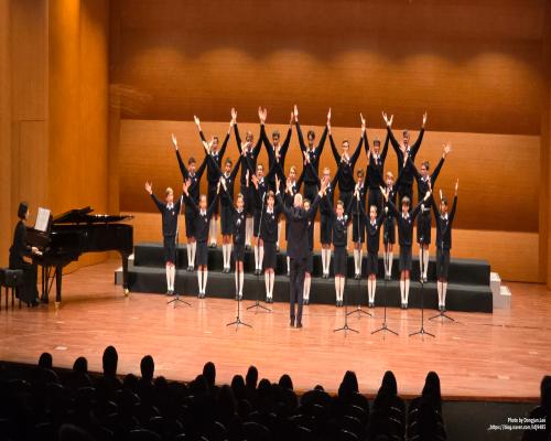 파리나무십자가