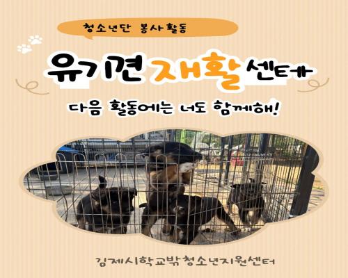 청소년단 봉사활동