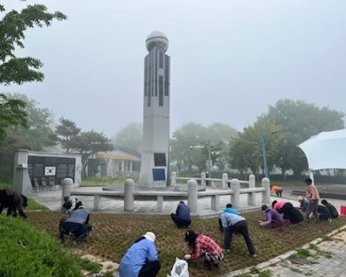 주민자치위원회, 제초작업 및 환경정비 실시