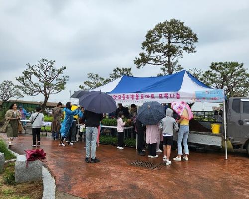 토종종자의 우수성, 어린이도 알아야 한다.