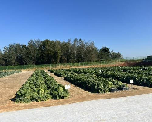 2022 국제종자박람회 야외전시포