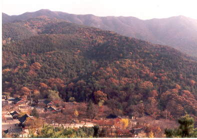 모악산도립공원 이미지(8)