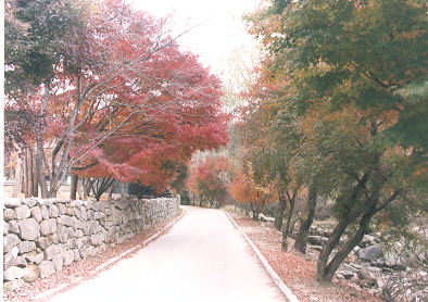 모악산도립공원 이미지(6)