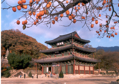 모악산도립공원 이미지(3)