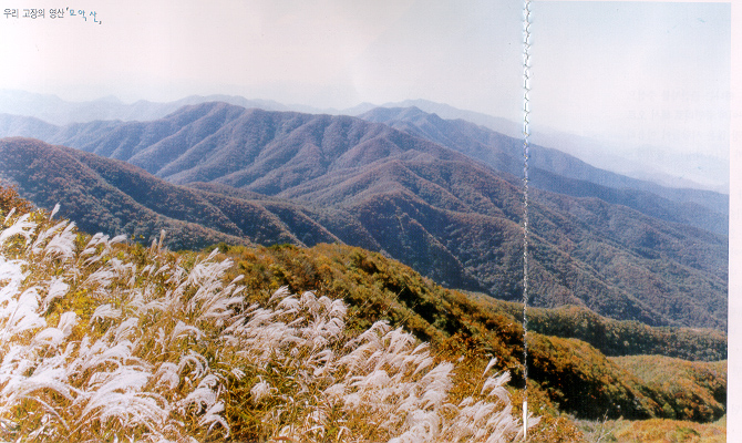 모악산도립공원 이미지(9)