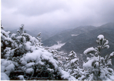 모악산도립공원 이미지(7)