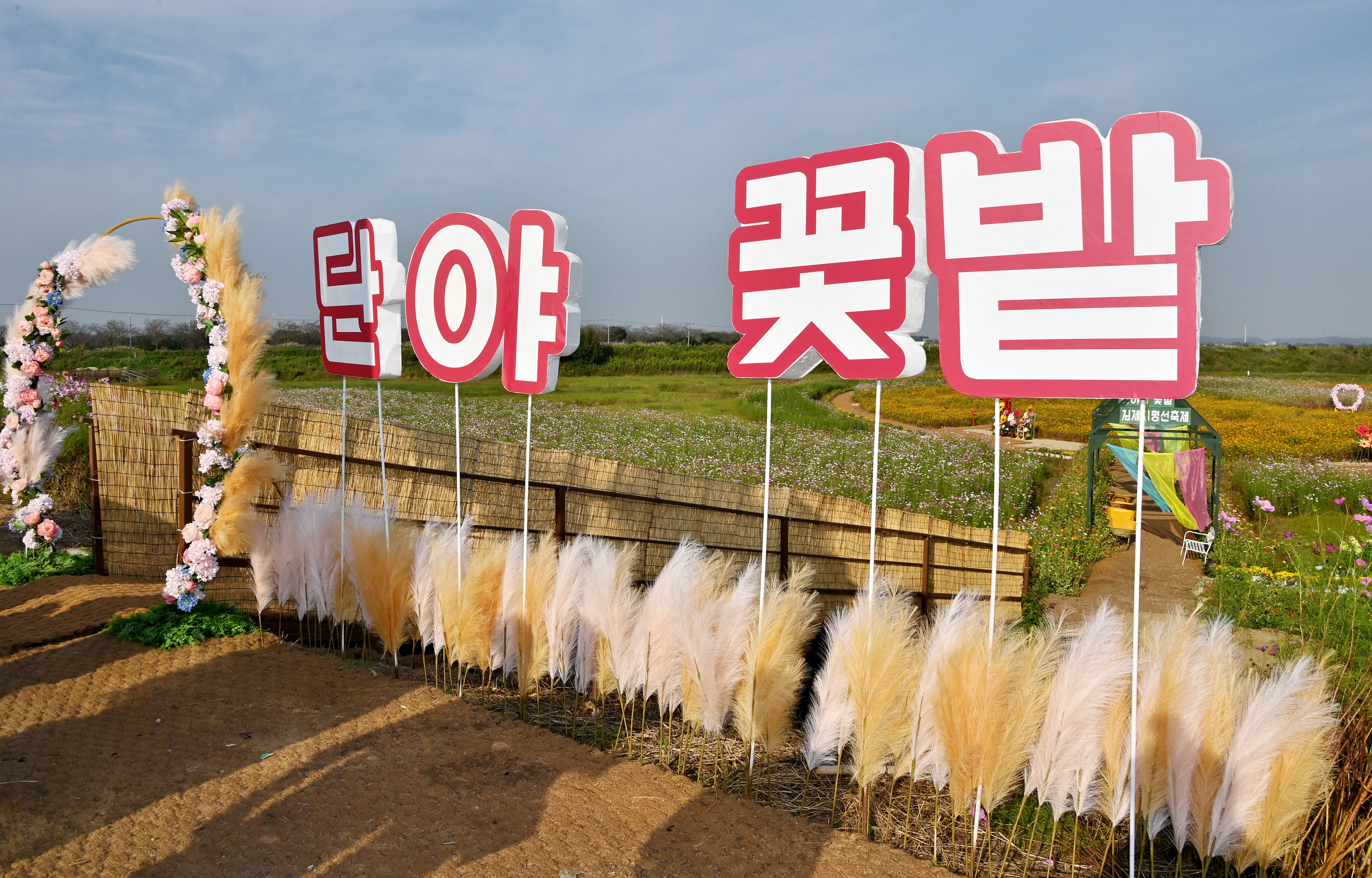 지평선축제현장점검(2).JPG
