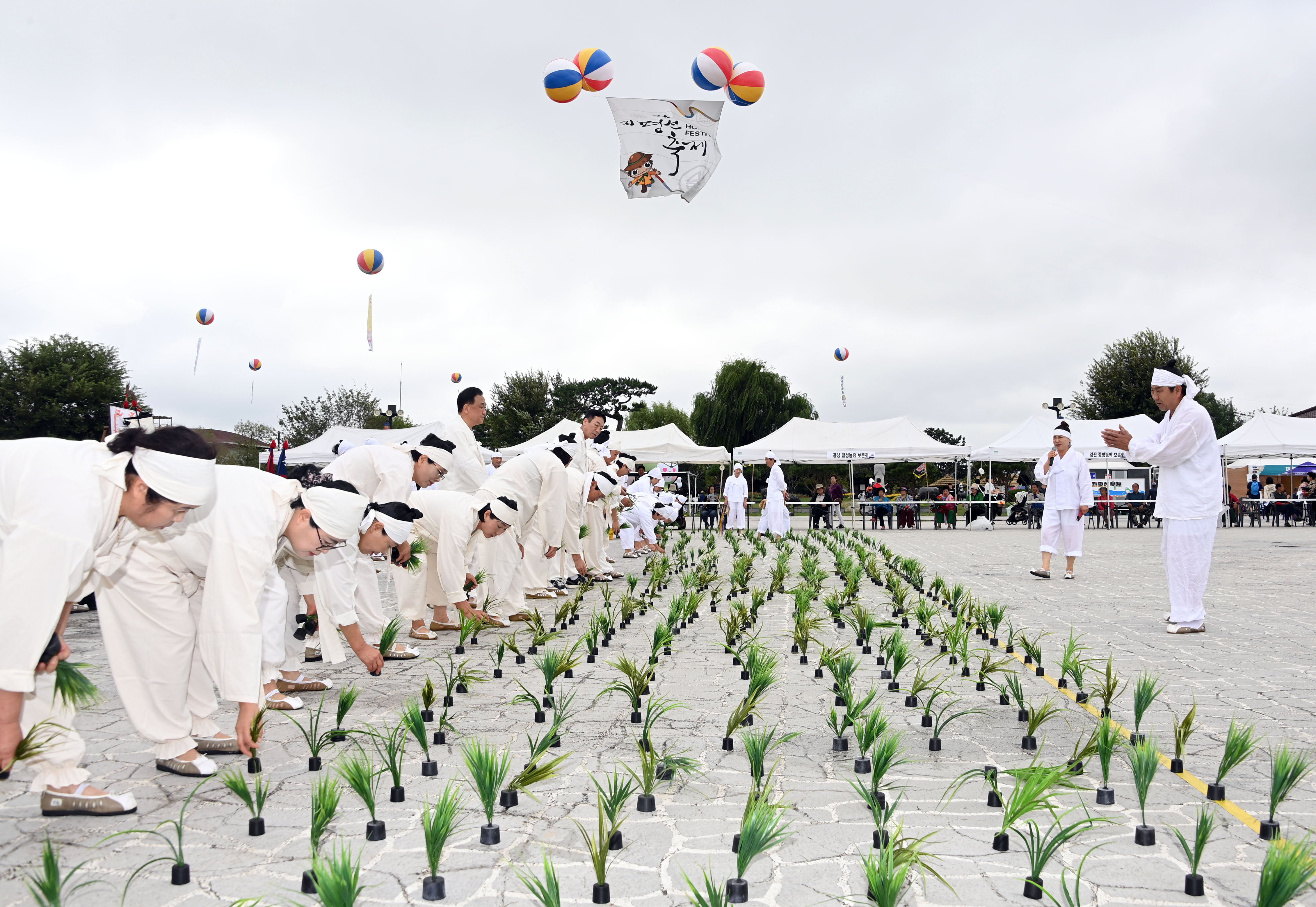 제27회김제지평선축제1.JPG