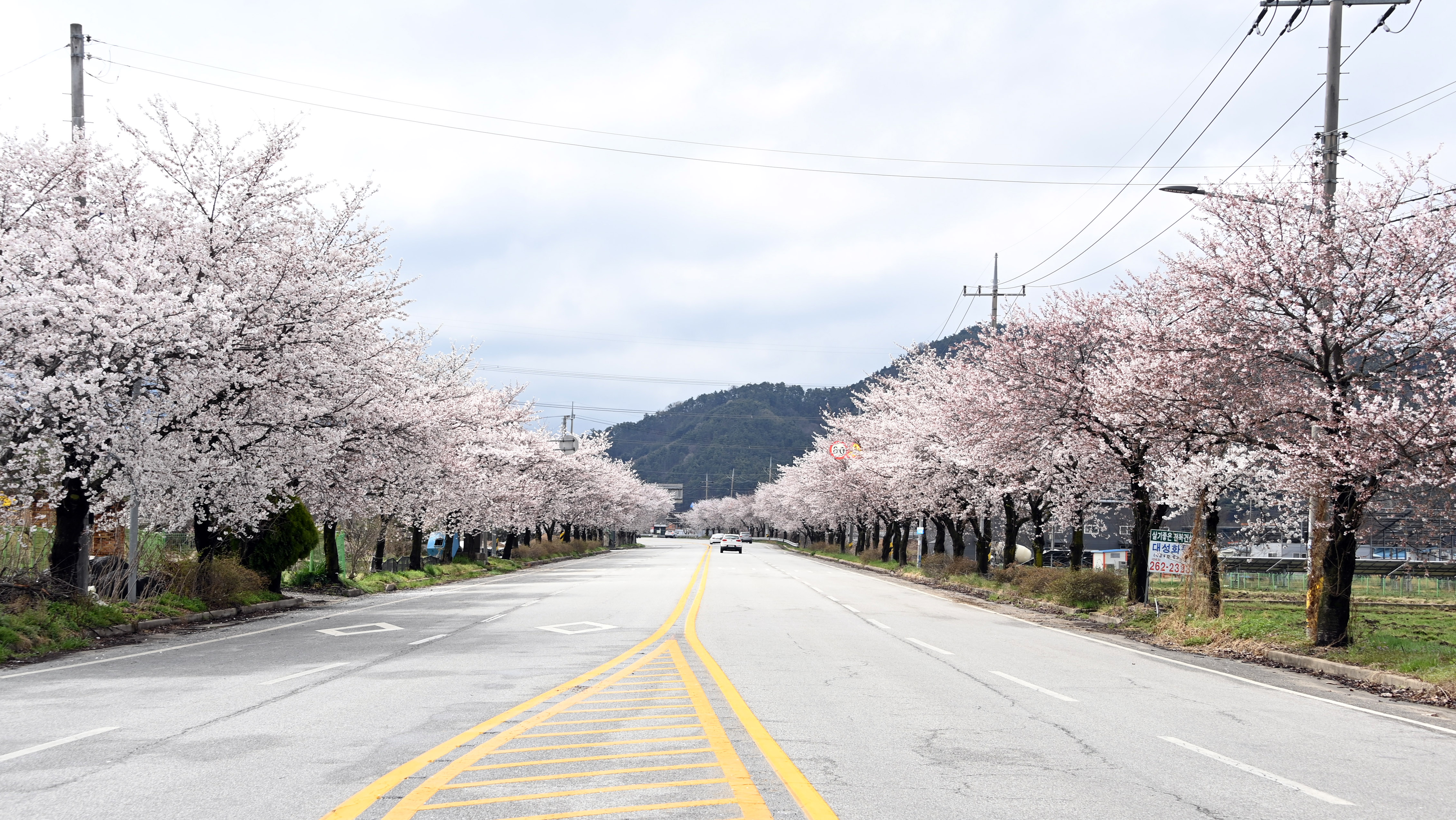 금산사