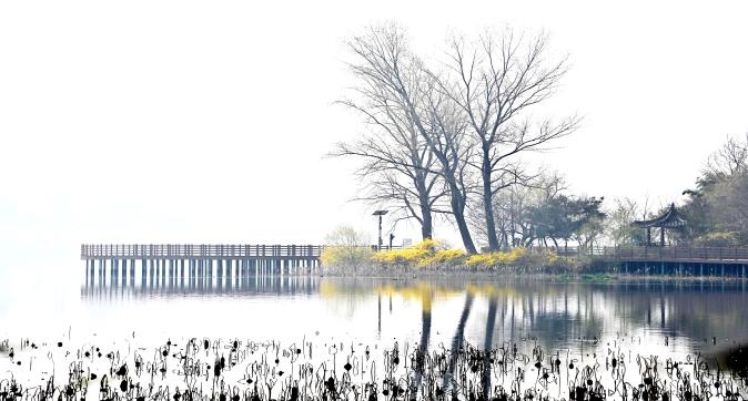 내년에도 가 볼 만한 화려한 김제시 2026년 봄 꽃