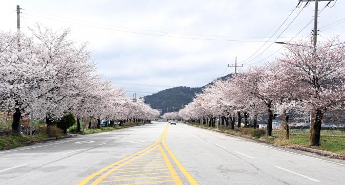 금산사