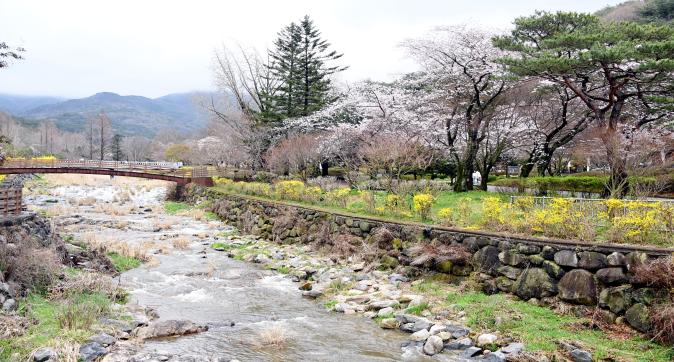 금산사