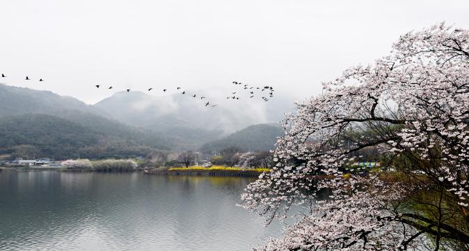금평저수지