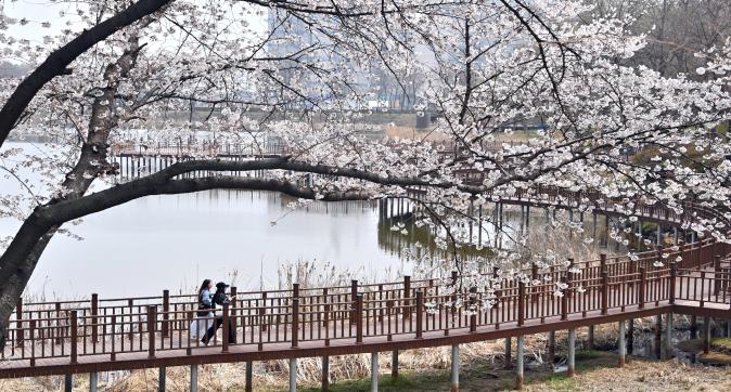 김제 수변공원(시민운동장)