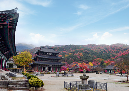 금산사(사적 제496호) 이미지(1)
