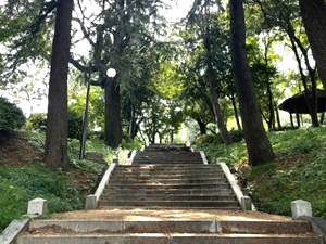 성산공원 사진
