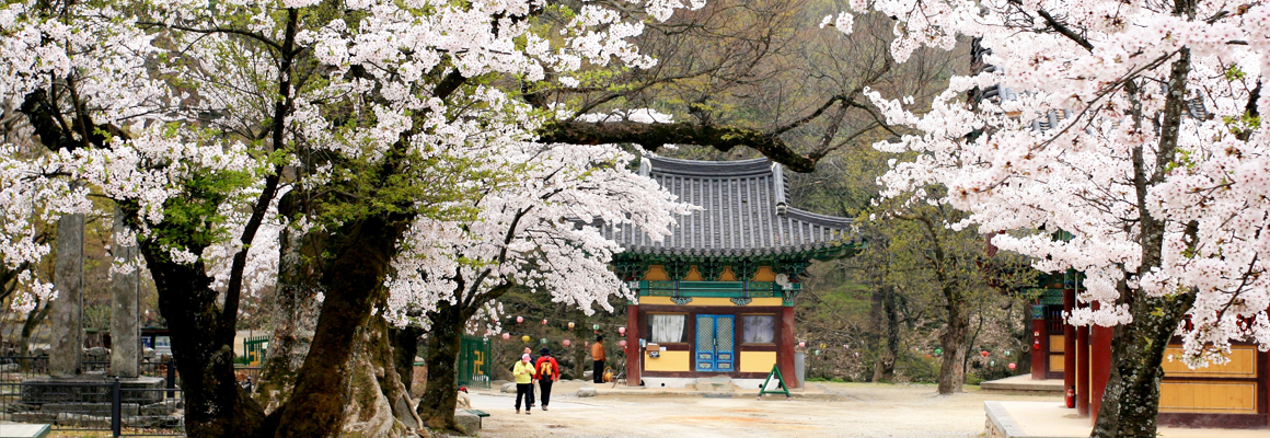 Moaksan Mountain Festival