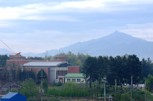 용지중학교 봄풍경