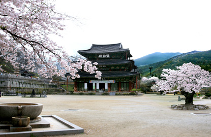 Geumsansa Temple